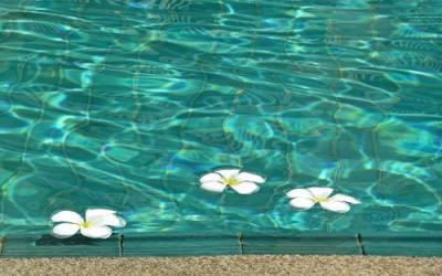 The Benefits Of A Zen Pool Design: Creating A Calming And Relaxing Environment